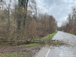 20230312 Wochenbericht 01