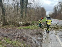 20230312 Wochenbericht 02