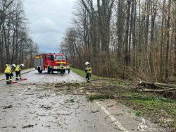20230312 Wochenbericht 03