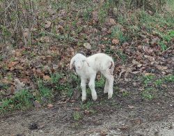 230402 Wochenbericht 1