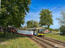 250826 Verkehrsunfall 06