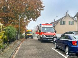 251109 Wochenbericht 01