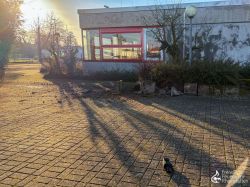 260118 Wochenbericht 01