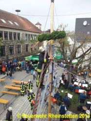 20130501 MaibaumstellenNeuburgweier 03