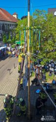 250501 Maibaum 01